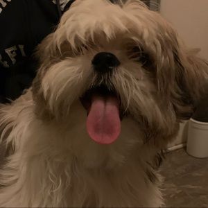 Meet your Posher, Jose